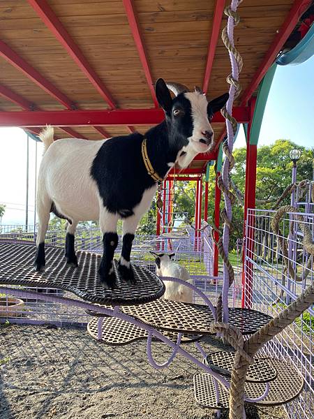 南投景點「星月天空」夏日夕陽超美-親子園區-情侶約會景觀餐廳