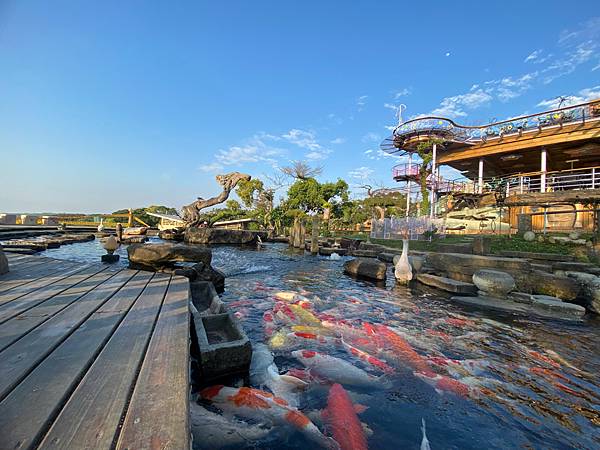 南投景點「星月天空」夏日夕陽超美-親子園區-情侶約會景觀餐廳