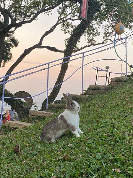 南投景點「星月天空」夏日夕陽超美-親子園區-情侶約會景觀餐廳