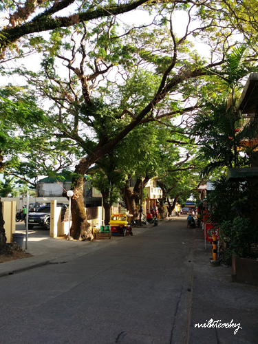 2014 菲律賓 科隆島-23