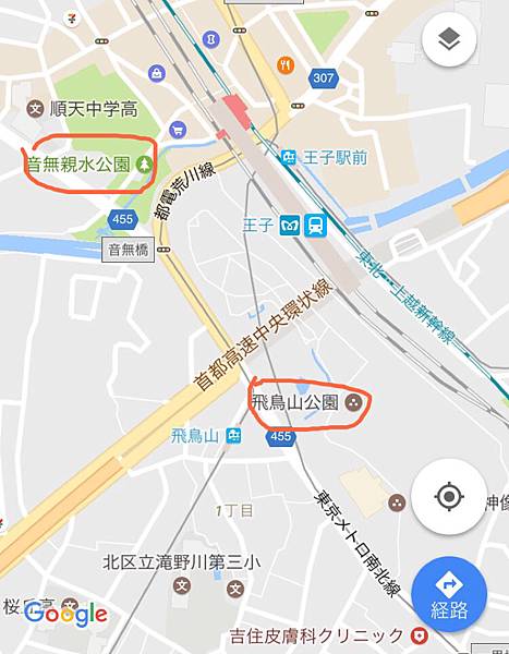 紫陽花 繡球花 小徑 東京飛鳥山公園林宥嘉婚紗拍攝地 雪花台湾 紫陽花 繡球花 小徑 東京飛鳥山公園林宥嘉婚紗拍攝地 雪花台湾