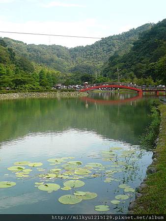 P1080613 P1080613