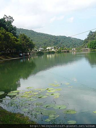 P1080616 P1080616
