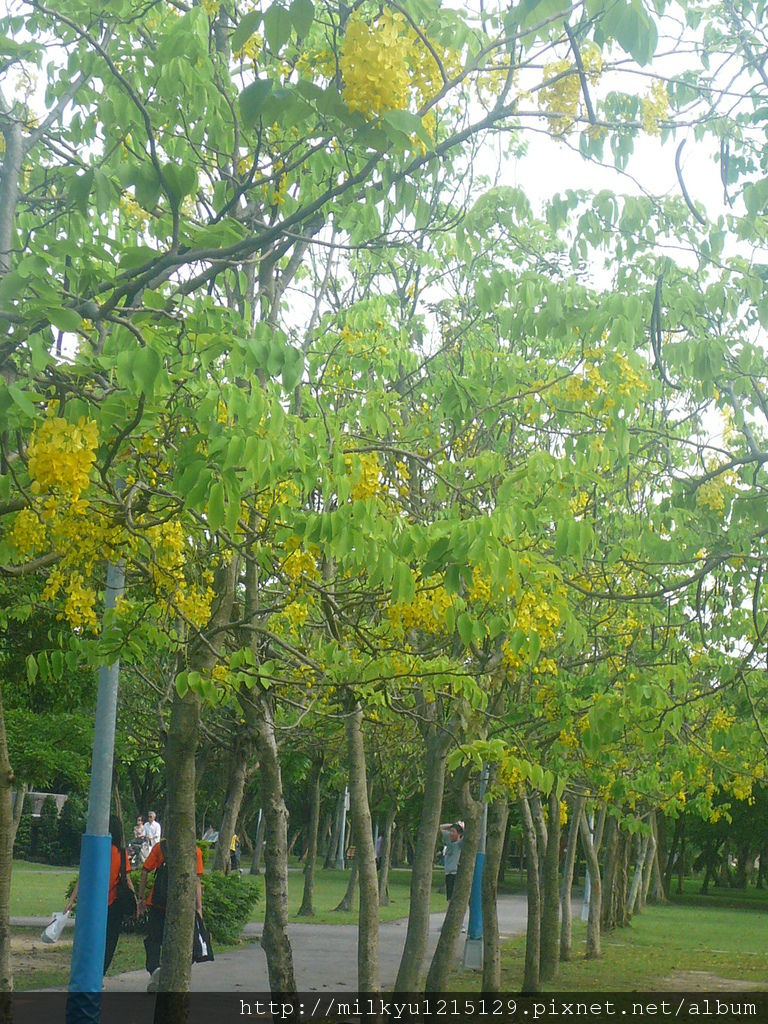 P1090573^^ P1090573^^