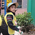 學校活動-植樹節種樹