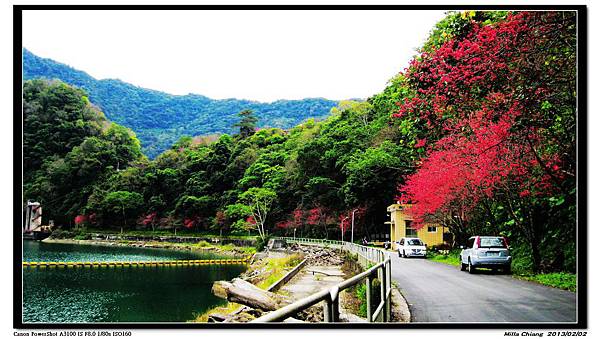 IMG_2828 IMG_2828