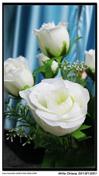 IMG_6795 IMG_6795