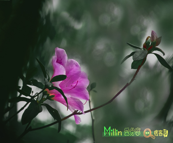 DSCF0038