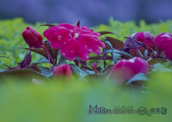 DSCF0086