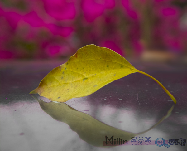 DSCF0111