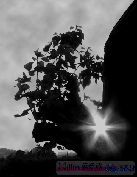 DSCF0163-3