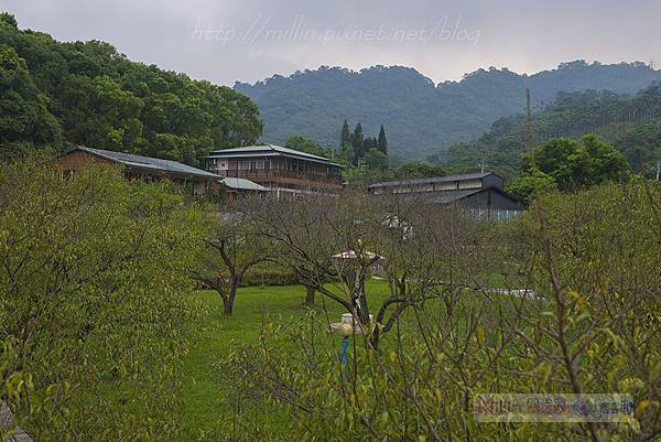 新社_梅林親水岸_戶外景觀