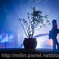 小瑞士花園_霧裡觀花