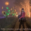 小瑞士花園_霧裡觀花