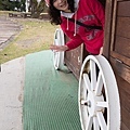 清境農場_青青草原趣遊