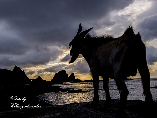 玩剪影-Photo By Chung chun-chou