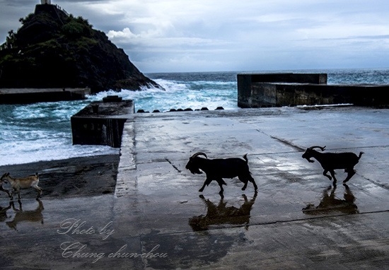 玩剪影-Photo By Chung chun-chou