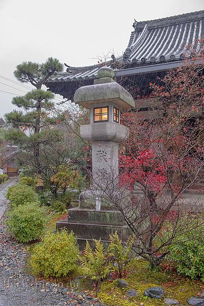 京都嵐山篇-photo by chung chun chou