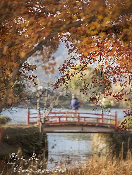 京都嵐山篇-photo by chung chun chou