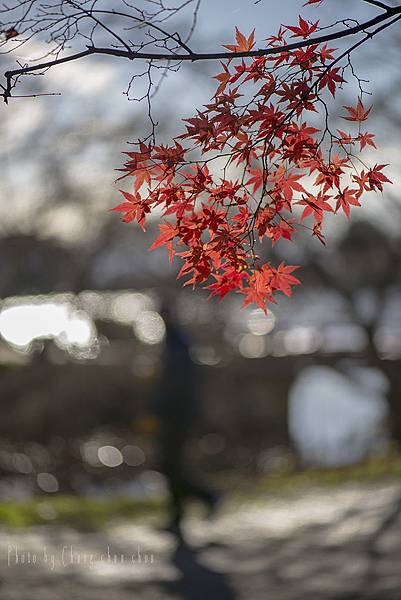 京都嵐山篇-photo by chung chun chou