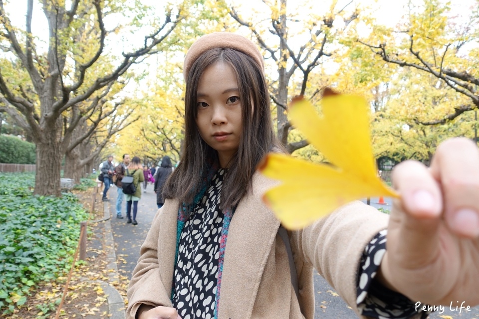 東京浪漫銀杏大道｜明治神宮外苑銀杏林