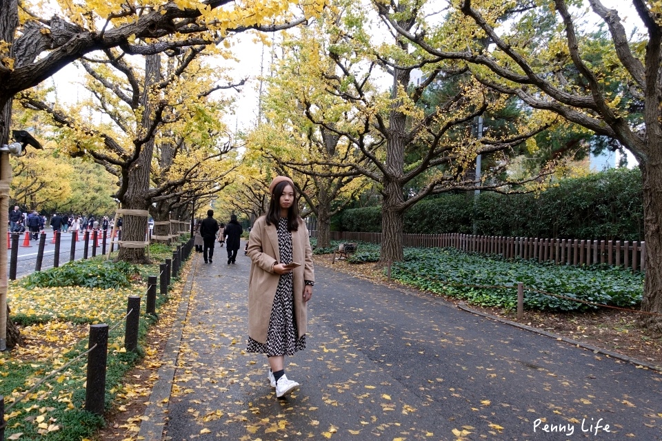 東京浪漫銀杏大道｜明治神宮外苑銀杏林