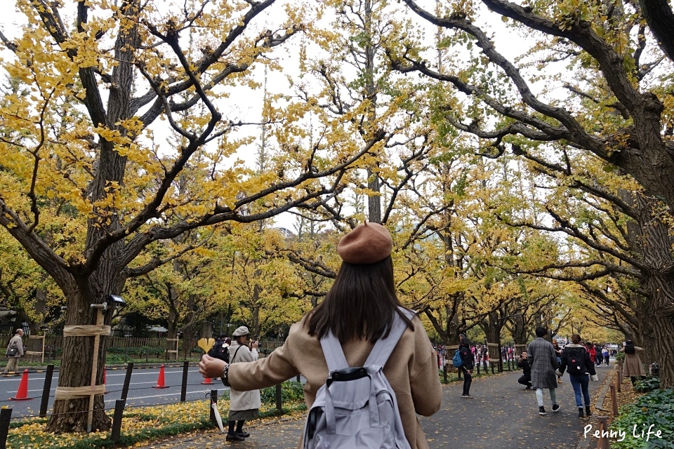 東京浪漫銀杏大道｜明治神宮外苑銀杏林