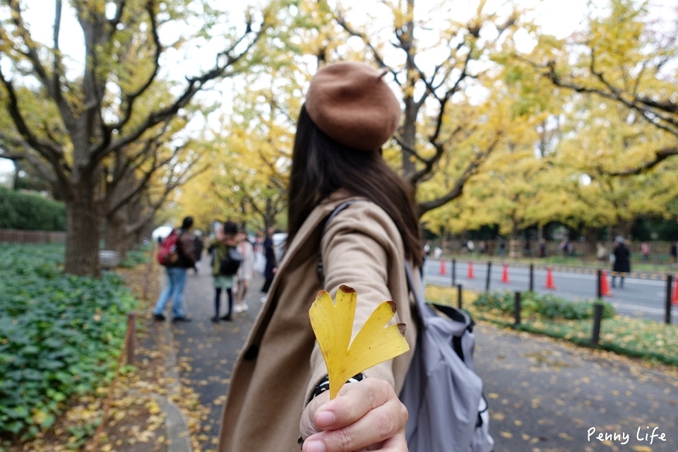 東京浪漫銀杏大道｜明治神宮外苑銀杏林