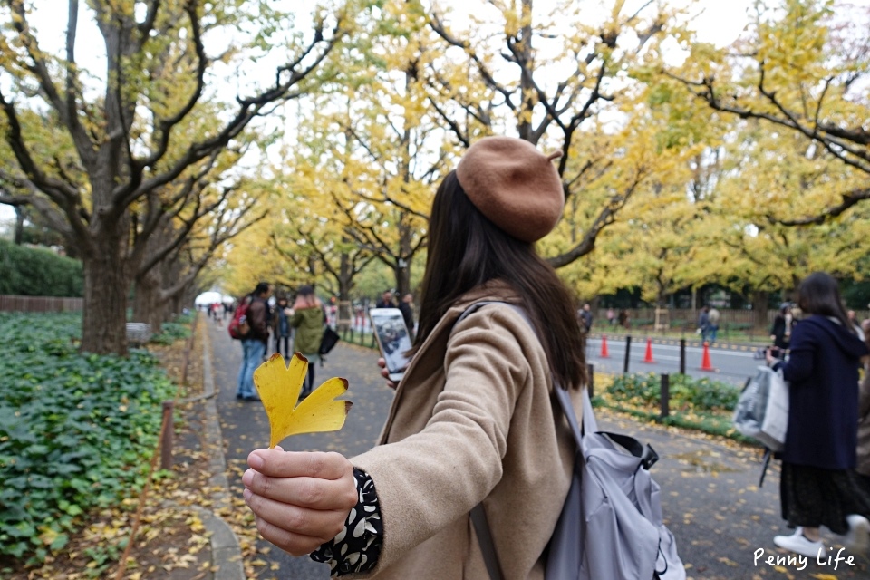 東京浪漫銀杏大道｜明治神宮外苑銀杏林