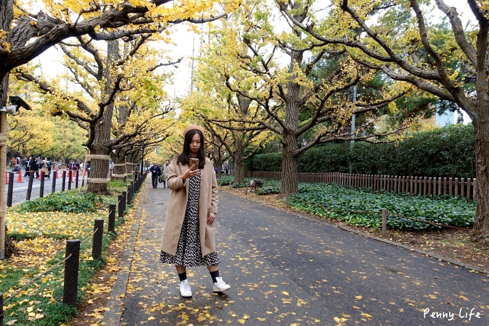 東京浪漫銀杏大道｜明治神宮外苑銀杏林