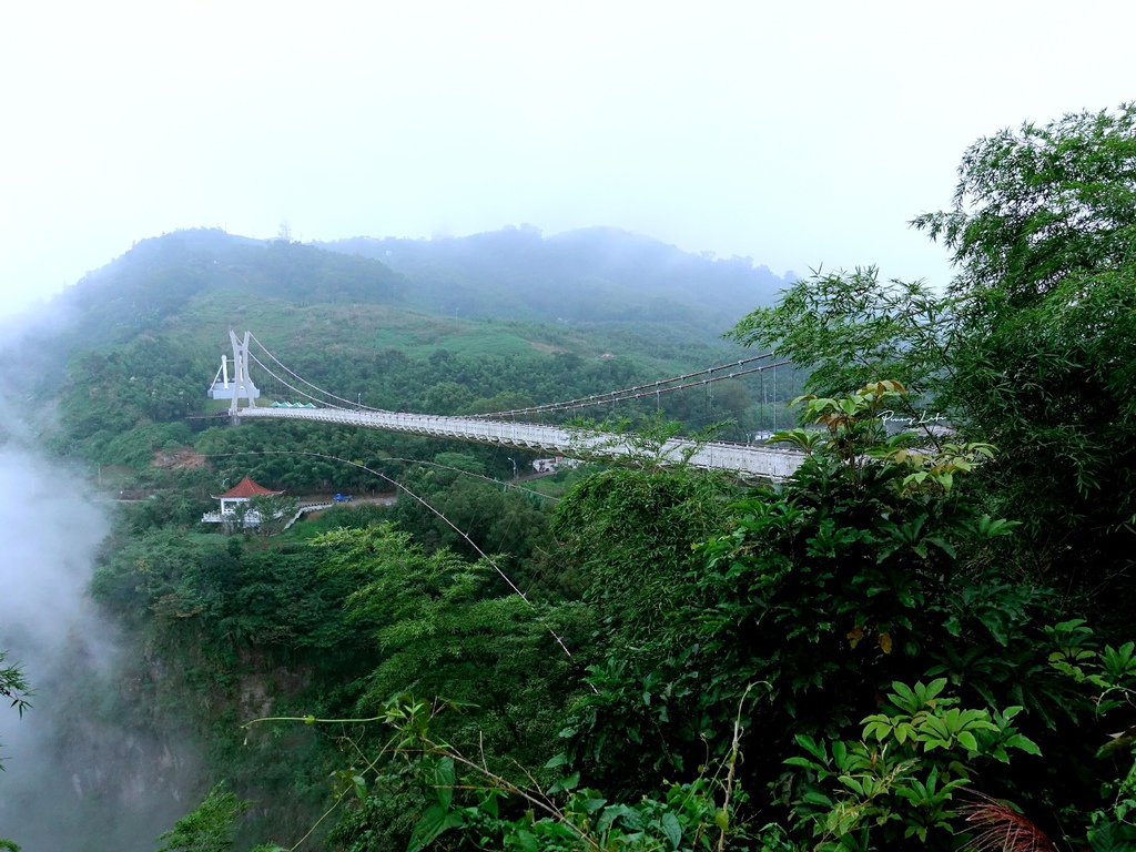 太平雲梯｜嘉義梅山景點-絕美仙境在雲霧中的天空步道、網美景點