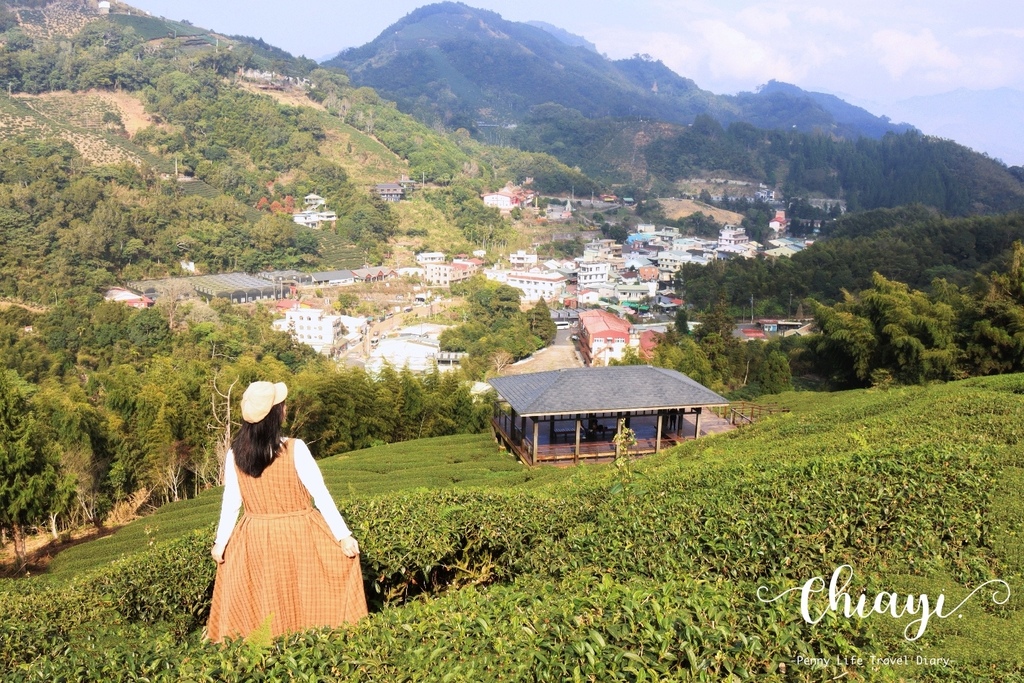 漫步嘉義太平雲梯、療癒茶園步道、特色老街、搭阿里山小火車-好