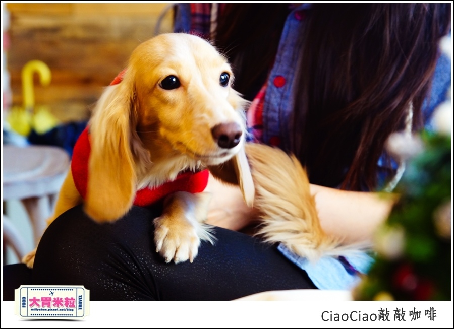 天母敲敲咖啡ciaociao@巷弄台北App@大胃米粒0077.jpg 天母敲敲咖啡ciaociao@巷弄台北App@大胃米粒0077.jpg