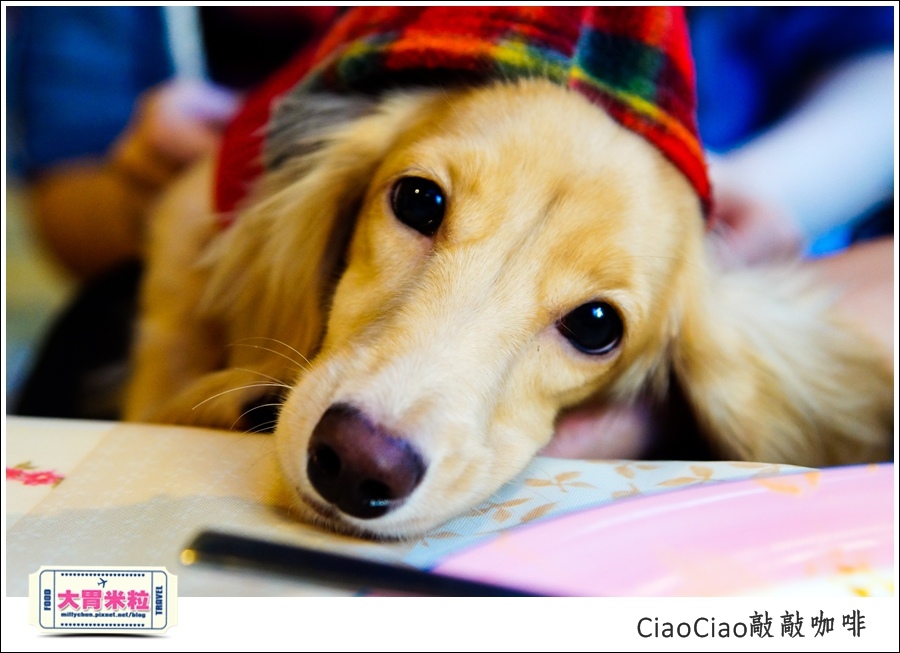 天母敲敲咖啡ciaociao@巷弄台北App@大胃米粒0079.jpg 天母敲敲咖啡ciaociao@巷弄台北App@大胃米粒0079.jpg