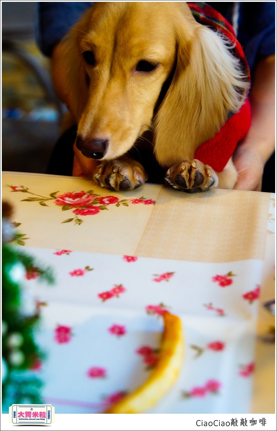 天母敲敲咖啡ciaociao@巷弄台北App@大胃米粒0080.jpg 天母敲敲咖啡ciaociao@巷弄台北App@大胃米粒0080.jpg