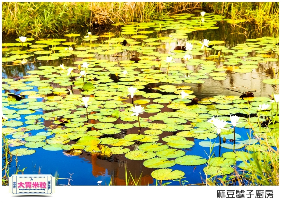 台南麻豆驢子廚房@台南西班牙料理推薦@大胃米粒016.jpg 台南麻豆驢子廚房@台南西班牙料理推薦@大胃米粒016.jpg