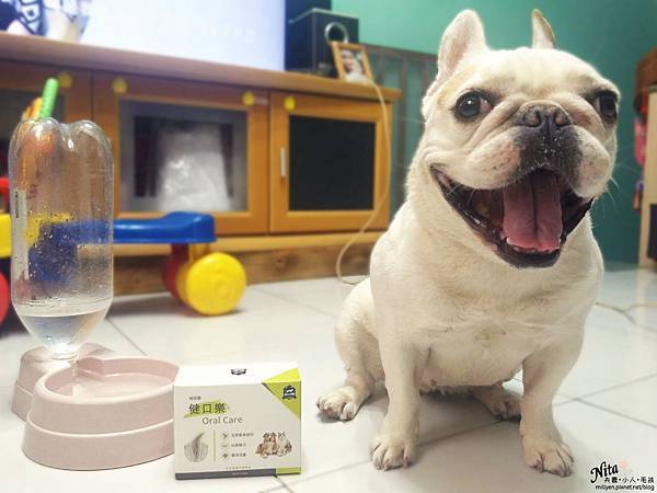 法鬥口臭寵物口臭怎麼辦紐促康健口樂維護貓狗口腔健康