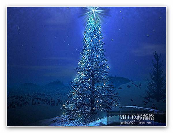 螢幕保護 3D Christmas Tree Screensaver       milo0922.pixnet.net__007_01799