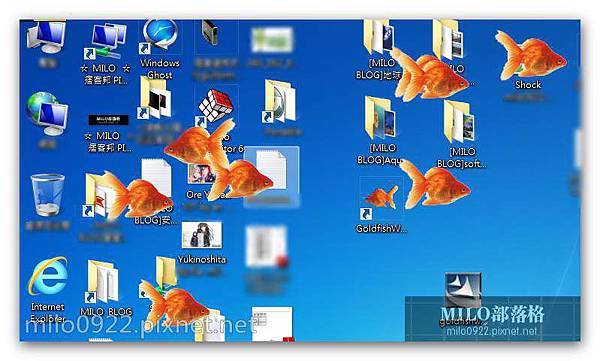 GoldFish milo0922.pixnet.net__001__001 GoldFish milo0922.pixnet.net__001__001