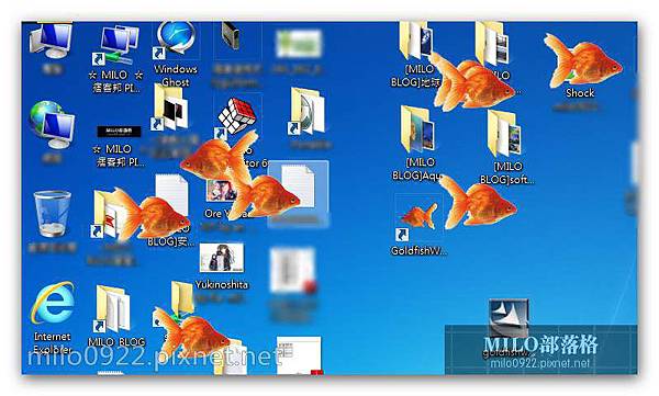 GoldFish milo0922.pixnet.net__001__001
