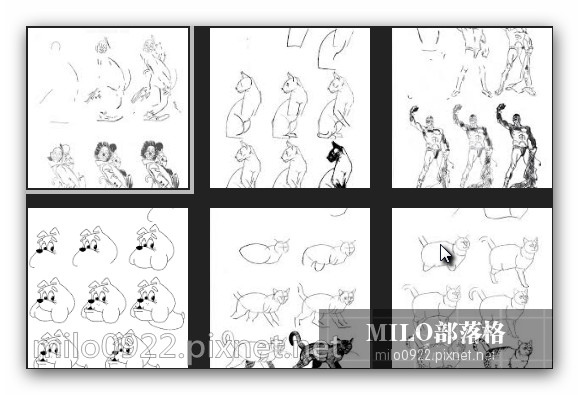MILO BLOG__003_ MILO BLOG__003_