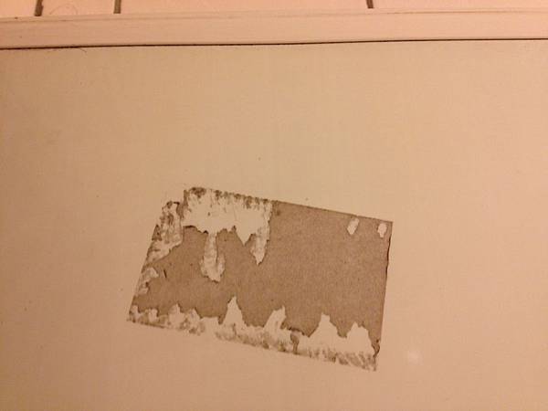 IMG_1309 IMG_1309