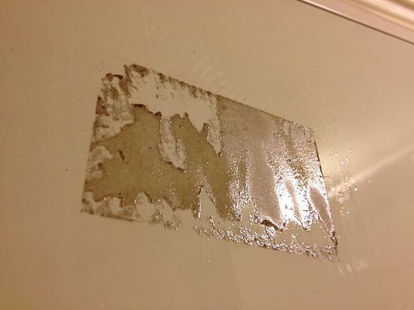 IMG_1319 IMG_1319