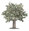 money%20tree.jpg money%20tree.jpg