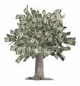 money%20tree.jpg