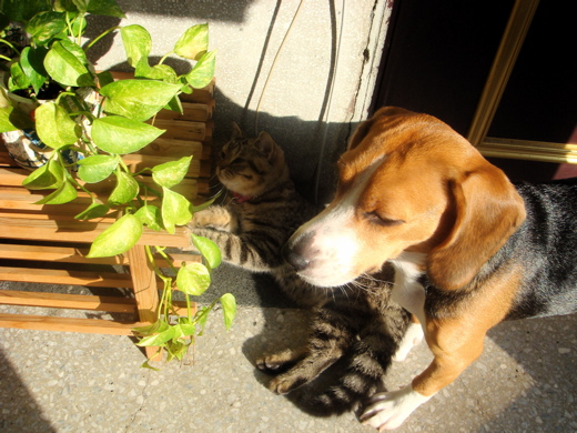 DSC05364.jpg DSC05364.jpg
