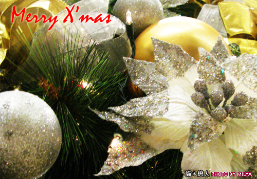 20081225-01 20081225-01