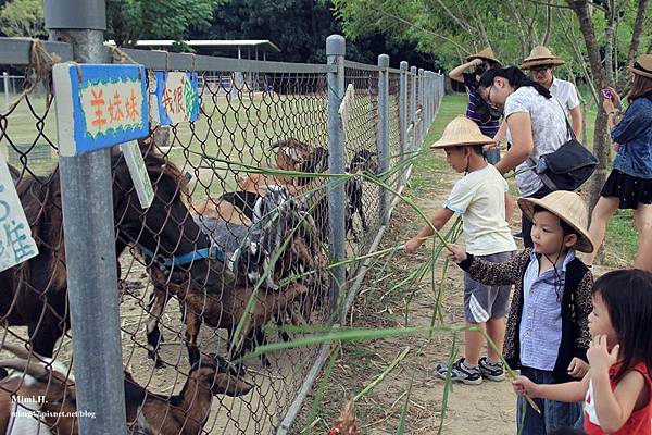 台南知性一日遊33.JPG
