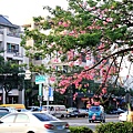 東豐路1.JPG