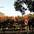 東豐路13.JPG